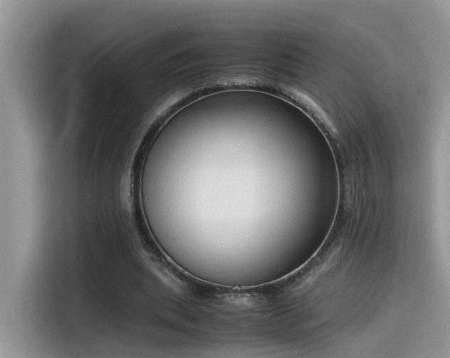 X0000115540439200911131547