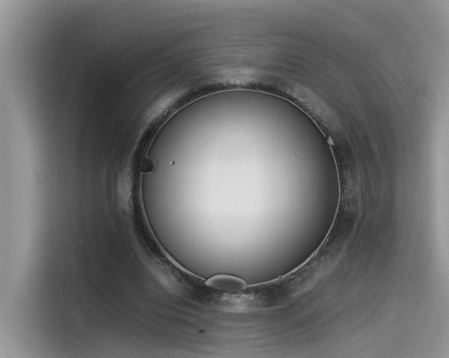 X0000115540440200911131547