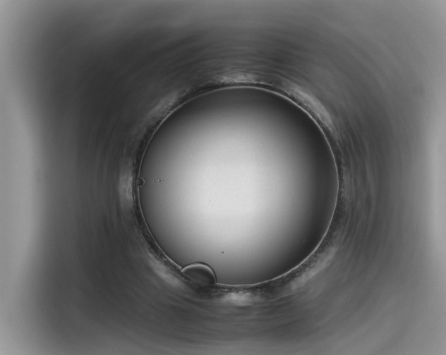 X0000115540441200911131547