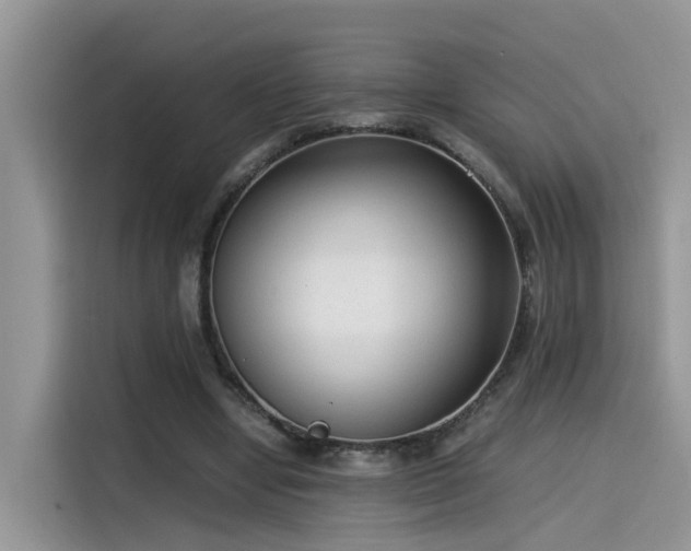 X0000115540442200911131547