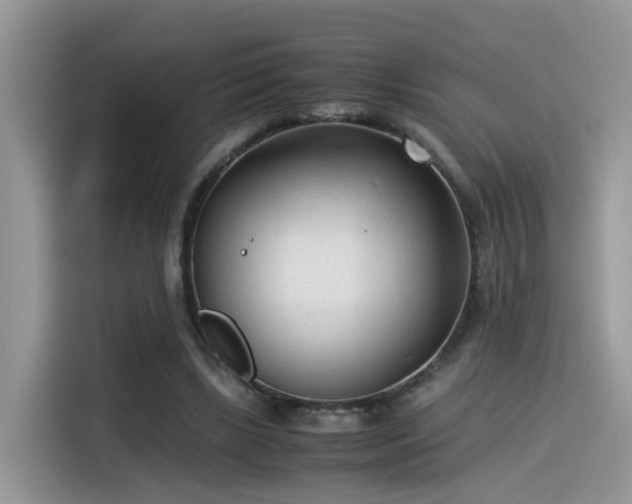 X0000115540443200911131547