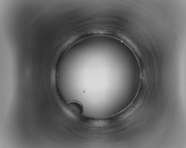 X0000115540445200911131547