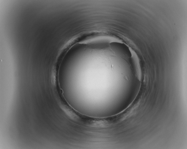 X0000115540446200911131547