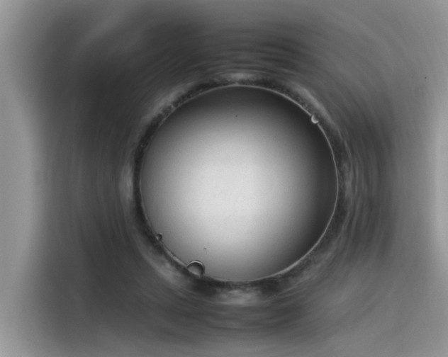 X0000115540447200911131547