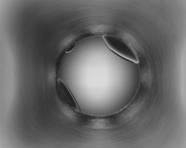 X0000115540448200911131547