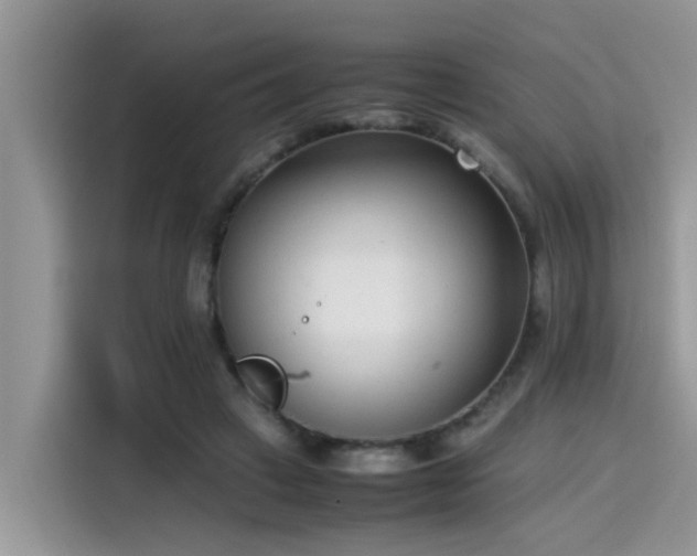 X0000115540449200911131547