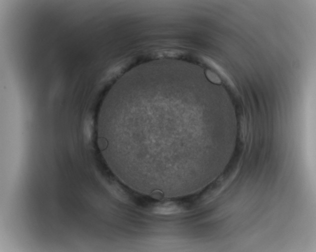 X0000115540451200911131547