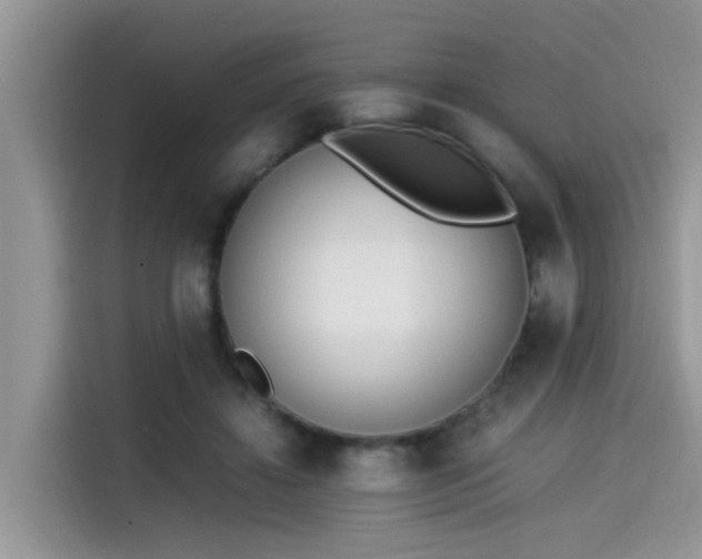 X0000115540452200911131547