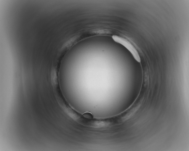 X0000115540453200911131547