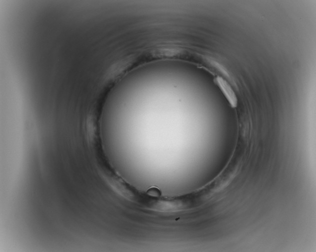 X0000115540455200911131547