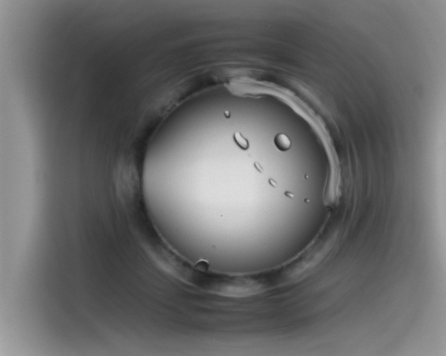 X0000115540459200911131547