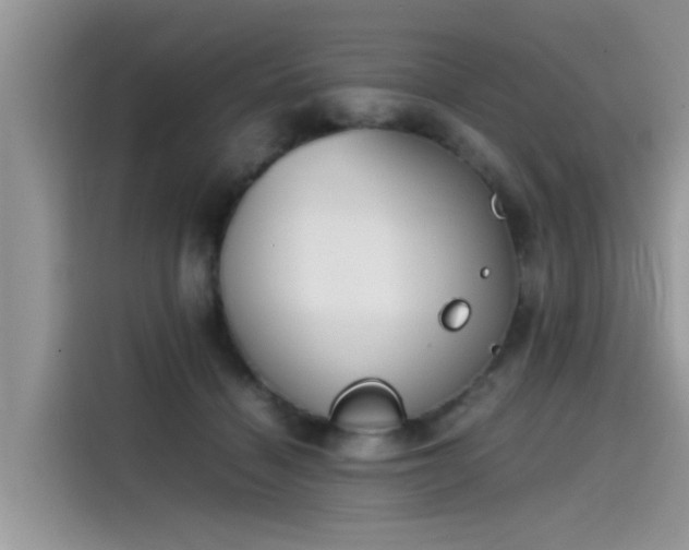 X0000115540460200911131547