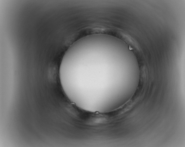 X0000115540463200911131547