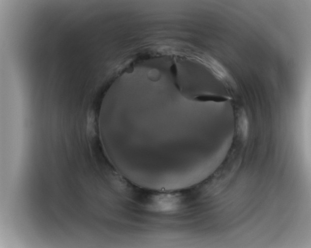 X0000115540465200911131547