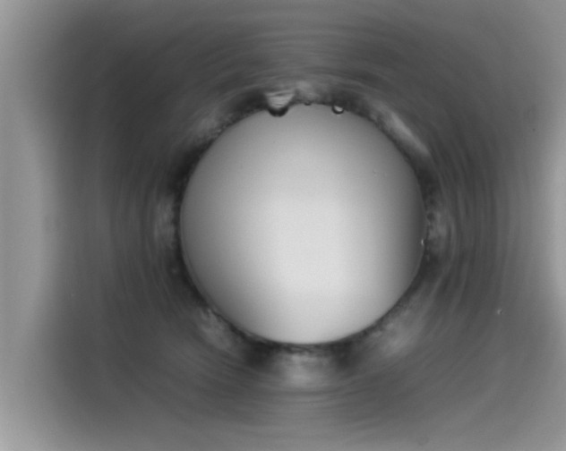 X0000115540466200911131548