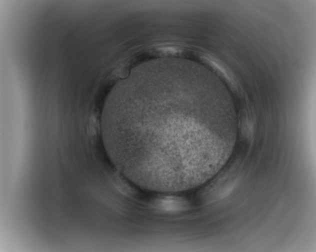 X0000115540467200911131548