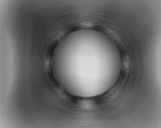 X0000115540468200911131548