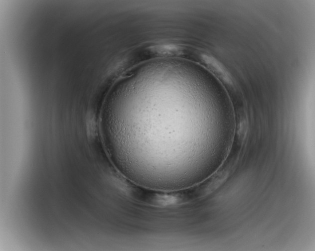 X0000115540469200911131548