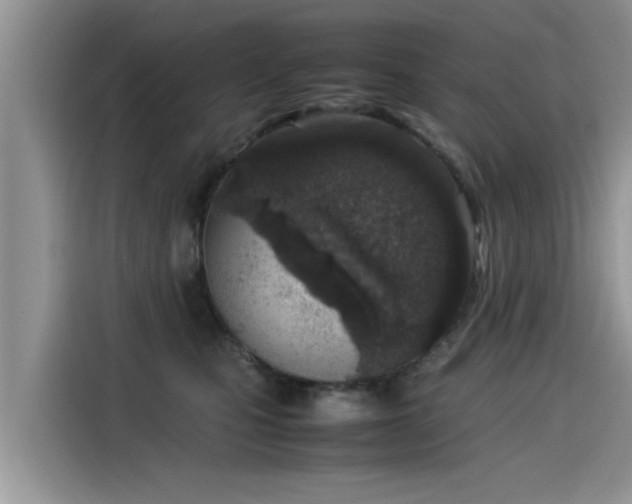 X0000115540471200911131548