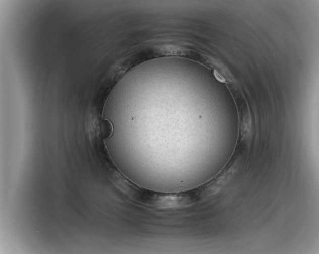 X0000115540473200911131548