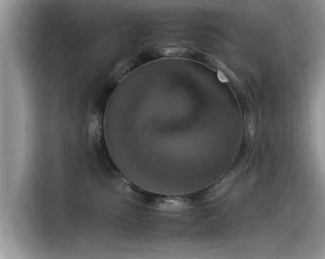 X0000115540475200911131548