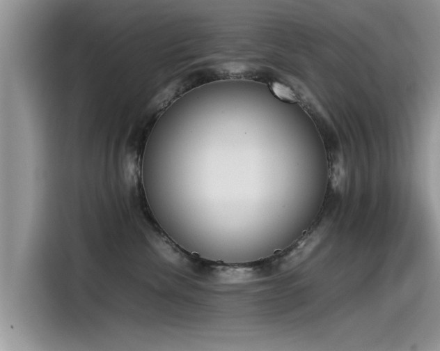 X0000115540476200911131548