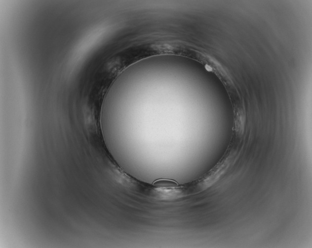 X0000115540477200911131548