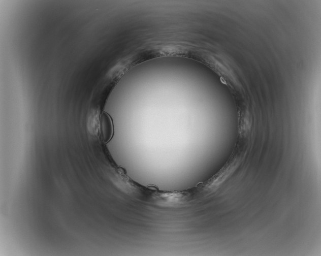 X0000115540478200911131548