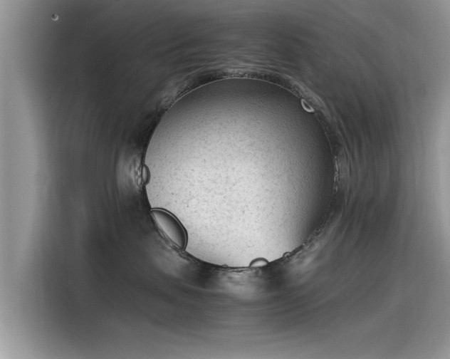 X0000115540479200911131548