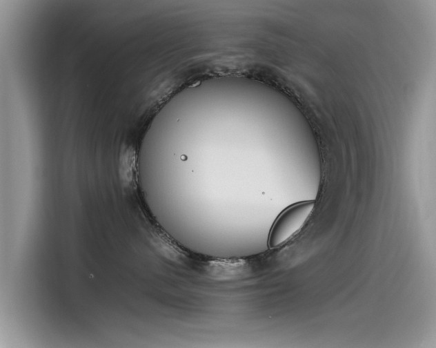 X0000115540480200911131548