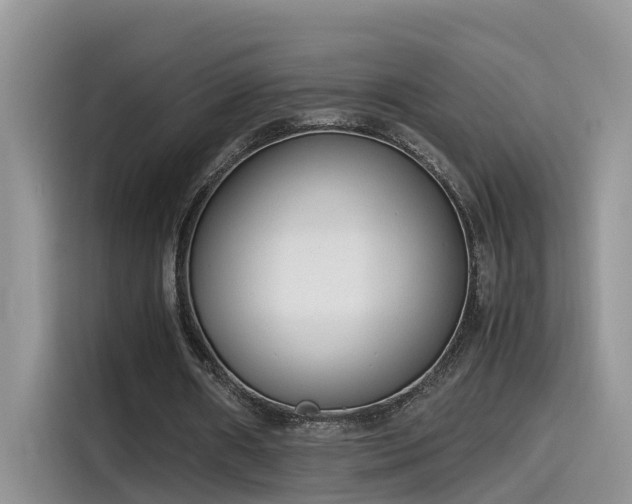 X0000115540482200911131547