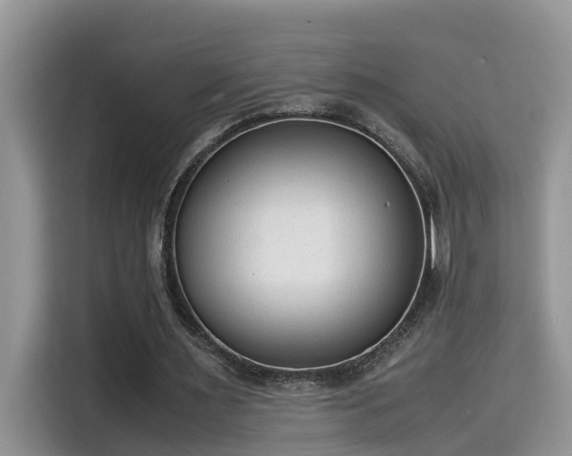 X0000115540483200911131547