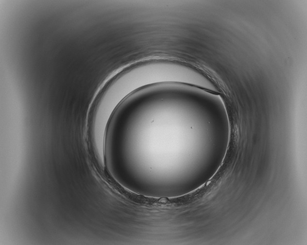 X0000115540484200911131547