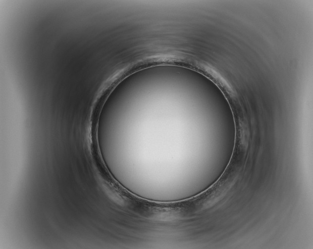 X0000115540486200911131547