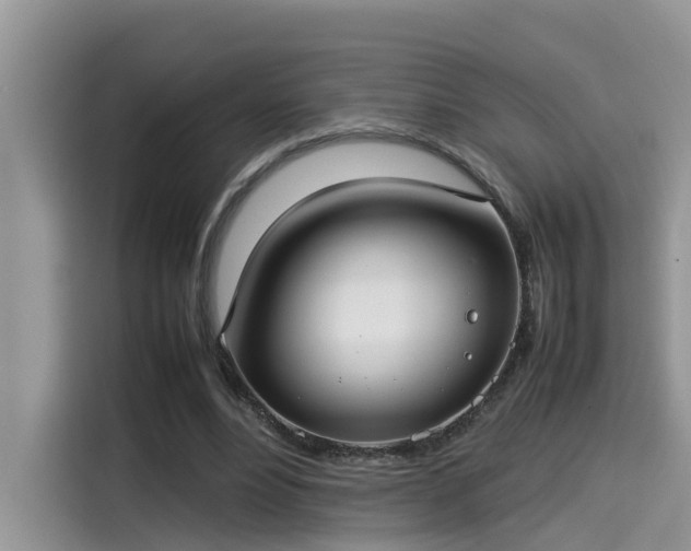 X0000115540488200911131547