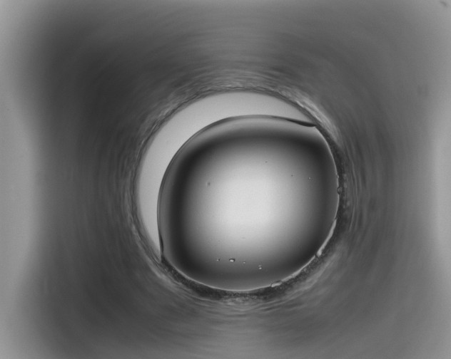 X0000115540489200911131547