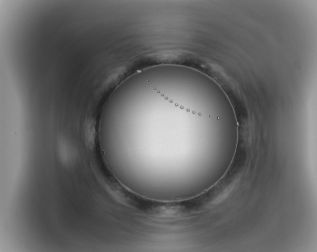 X0000115540495200911131547