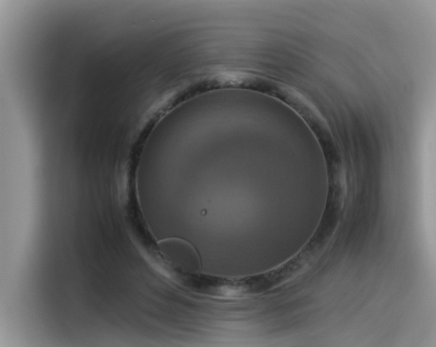 X0000115540496200911131547