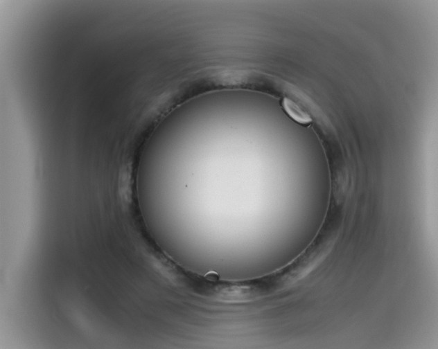 X0000115540497200911131547