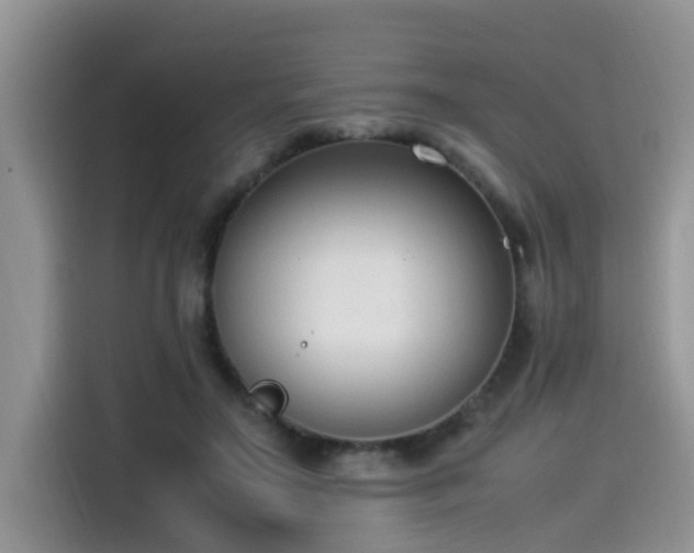 X0000115540499200911131547