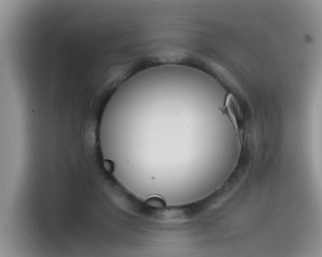 X0000115540501200911131547