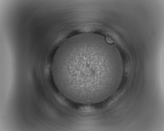 X0000115540503200911131547