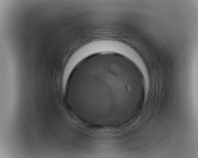 X0000115540504200911131547