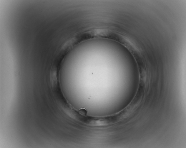 X0000115540506200911131547