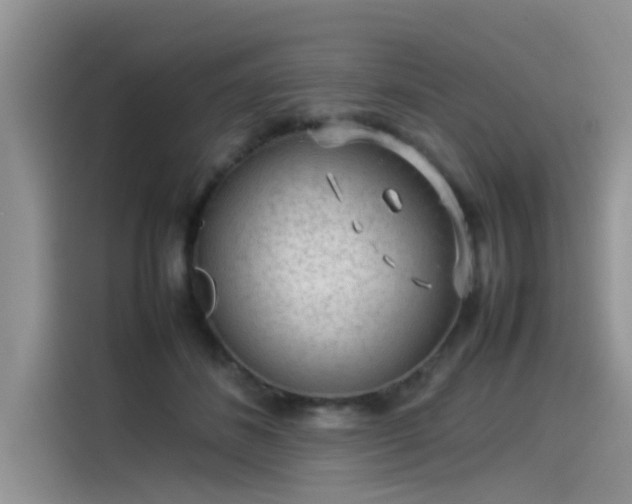 X0000115540508200911131547