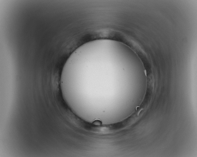 X0000115540509200911131547