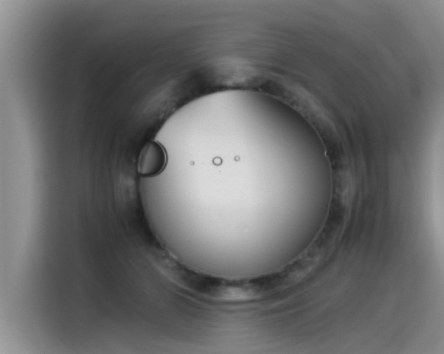 X0000115540510200911131547