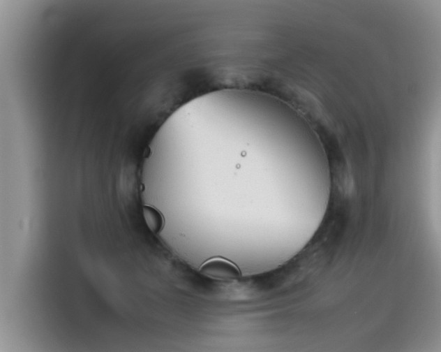 X0000115540511200911131547