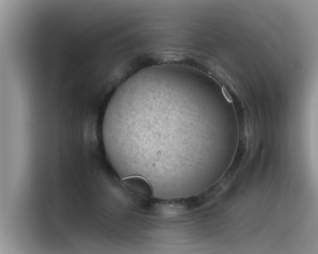 X0000115540512200911131547