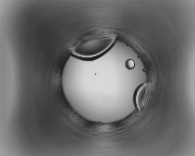 X0000115540513200911131547